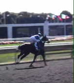 racetrack